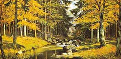Waldbach Print Waldbach Print