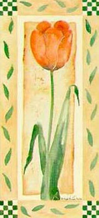 Orange Print Orange Print