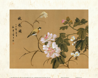 Peony Blossom I Print Peony Blossom I Print