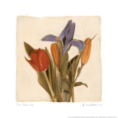 Tre Fiori II Print Tre Fiori II Print