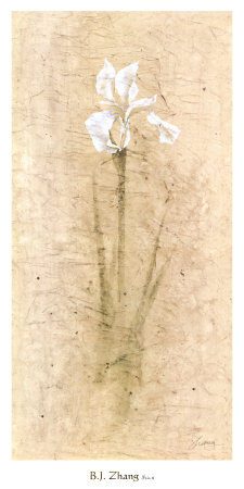 Iris II Print Iris II Print