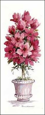 Magnolia Topiary Print Magnolia Topiary Print
