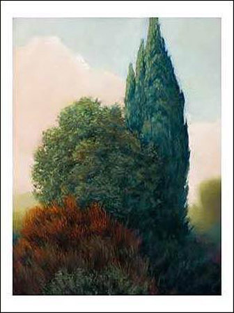 Tuscan Trees II Print Tuscan Trees II Print