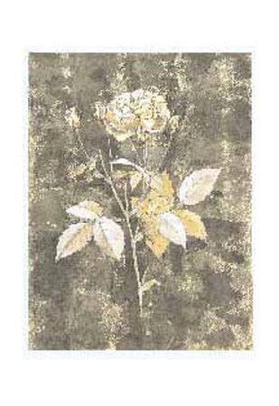 Silver Rose II Print Silver Rose II Print