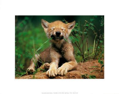 Simple Pleasures Print Simple Pleasures Print