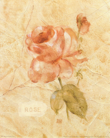 Rose on Cracked Linen Print Rose on Cracked Linen Print