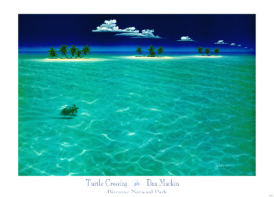 Turtle Crossing Print Turtle Crossing Print