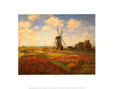 Tulip Fields with Windmill Print Tulip Fields with Windmill Print