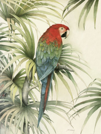 Green Winged Macaw I Print Green Winged Macaw I Print