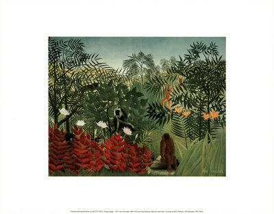 Tropical Jungle Print Tropical Jungle Print