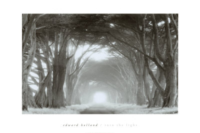 Into the Light Print Into the Light Print