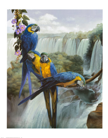 Iguazu Print Iguazu Print