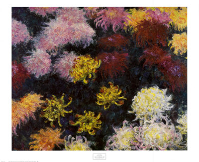 Chrysanthemum, 1897 Print Chrysanthemum, 1897 Print