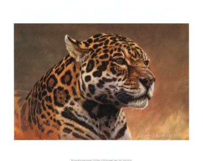 Jaguar Print Jaguar Print