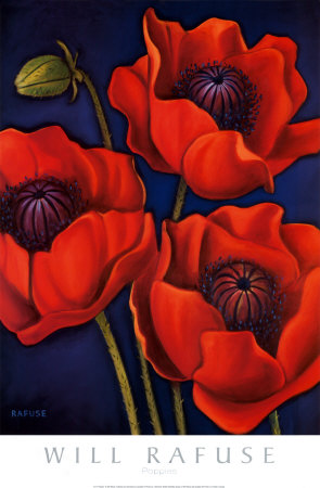 Poppies Print Poppies Print
