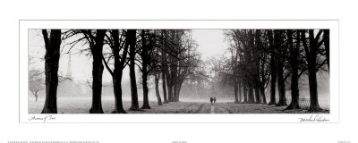 Avenue of Trees Print Avenue of Trees Print