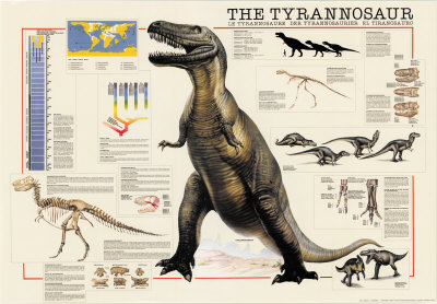 Dinosaurs Tyrannosaurus Poster Dinosaurs Tyrannosaurus Poster