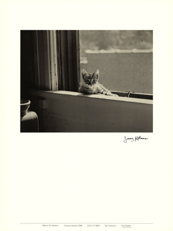 Kitty in the Window Print Kitty in the Window Print