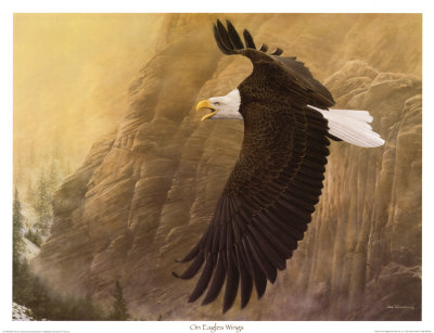 On Eagles Wings Print On Eagles Wings Print