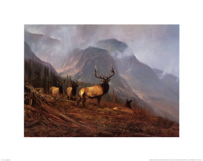 Bookcliffs Elk I Print Bookcliffs Elk I Print