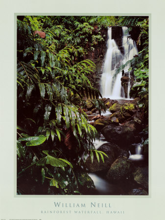 Rainforest Waterfall, Hawaii Print