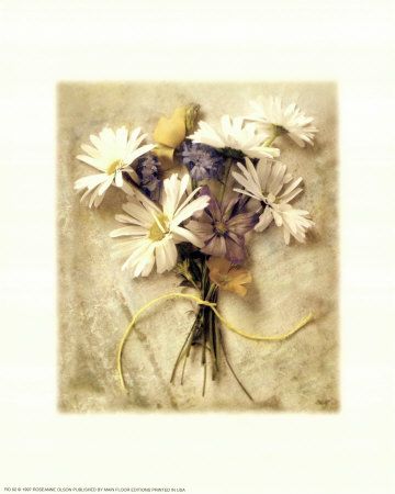 Dark Daisies Print Dark Daisies Print