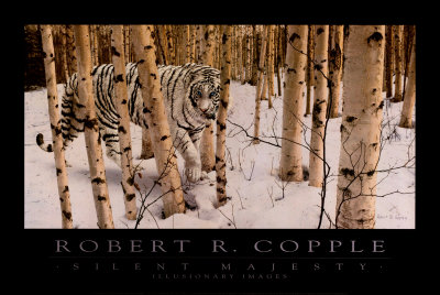 Silent Majesty Print Silent Majesty Print