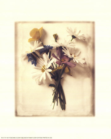 Light Daisies Print Light Daisies Print