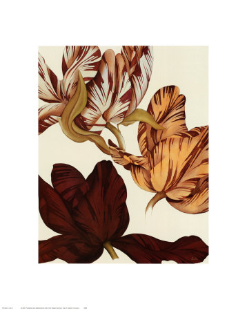 Tulip II Print Tulip II Print
