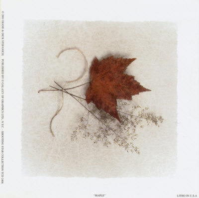 Maple Print Maple Print