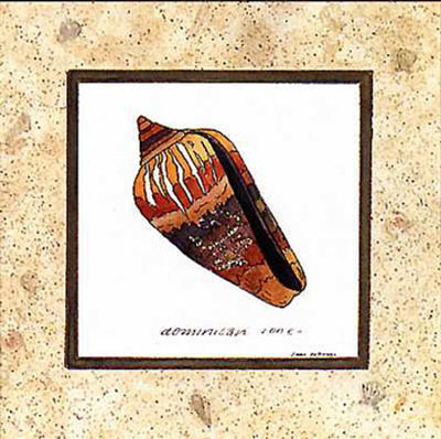 Dominican Cone Print Dominican Cone Print