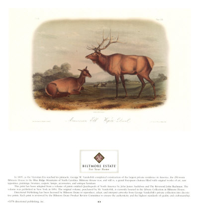 American Elk Print American Elk Print