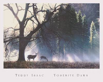 Yosemite Dawn Print Yosemite Dawn Print