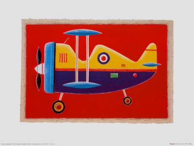 Bi-Plane Print Bi-Plane Print