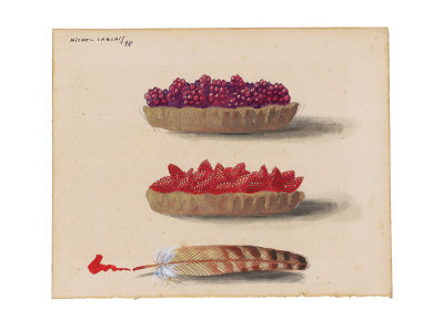 Tartes aux Fruits Print Tartes aux Fruits Print