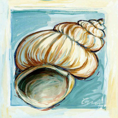 Shell White Serie I Print Shell White Serie I Print