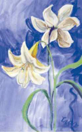 Flores Blancas Fondo Azul Print Flores Blancas Fondo Azul Print