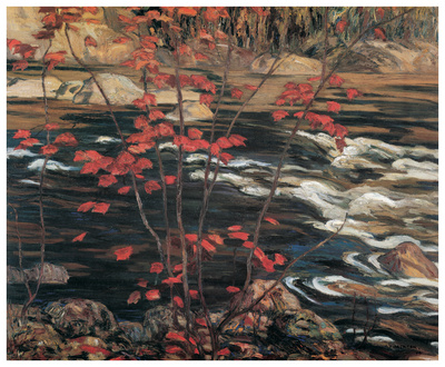 The Red Maple Print The Red Maple Print
