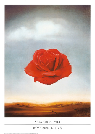 Rose Meditative c1958 Print by Salvador Dal at Artcom