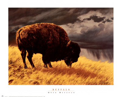 Buffalo Print Buffalo Print