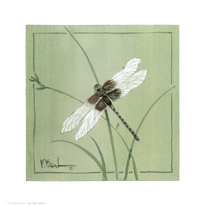 Dragonfly+art+images