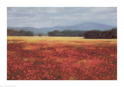 French Poppy Fields Print French Poppy Fields Print