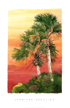 Ozello Skys Print Ozello Skys Print
