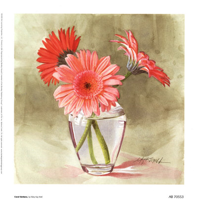 Coral Gerbera Print Coral Gerbera Print