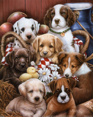 Puppies II Print by Jenny Newland at Art.com