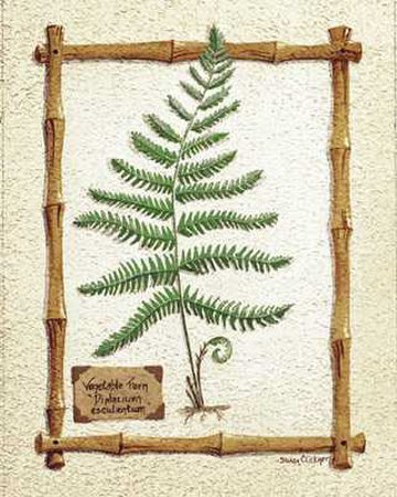 Vegetable Fern Print Vegetable Fern Print