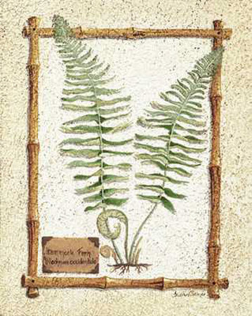 Hammock Fern Print Hammock Fern Print