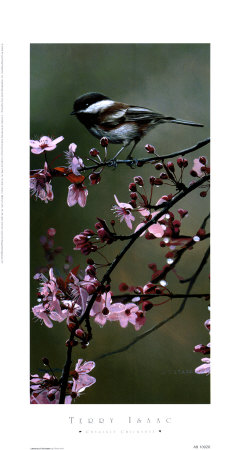 Chestnut Chickadees Print Chestnut Chickadees Print