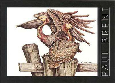 Pelican Poster Print Pelican Poster Print