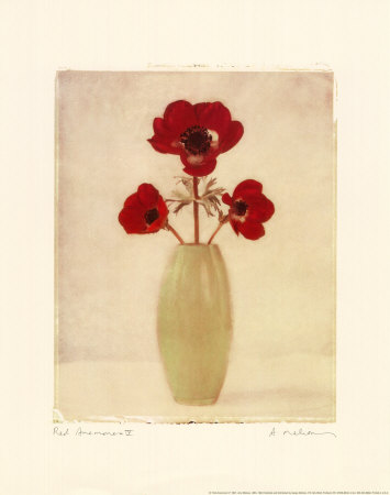 Red Anemones IV Print Red Anemones IV Print